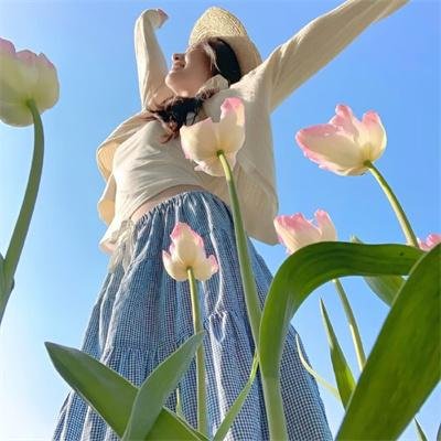 六姊妹