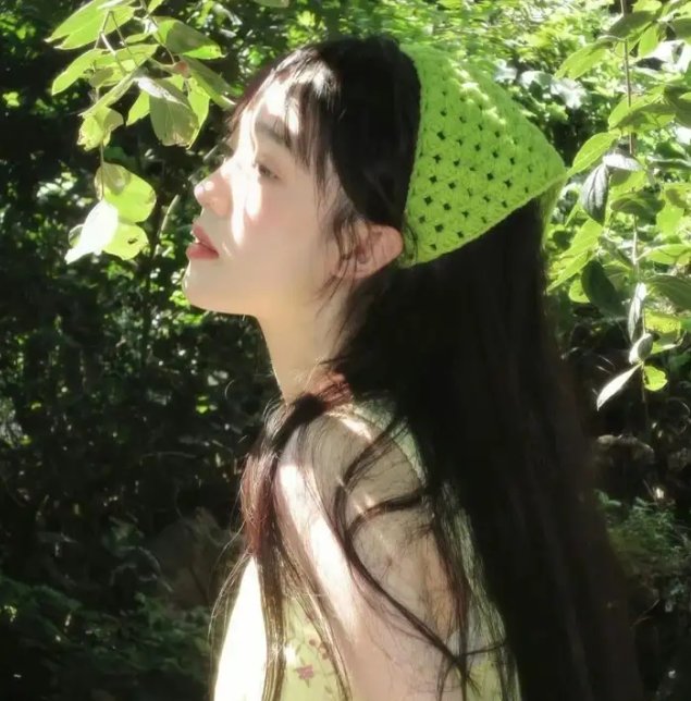 科西嘉岛的夏天